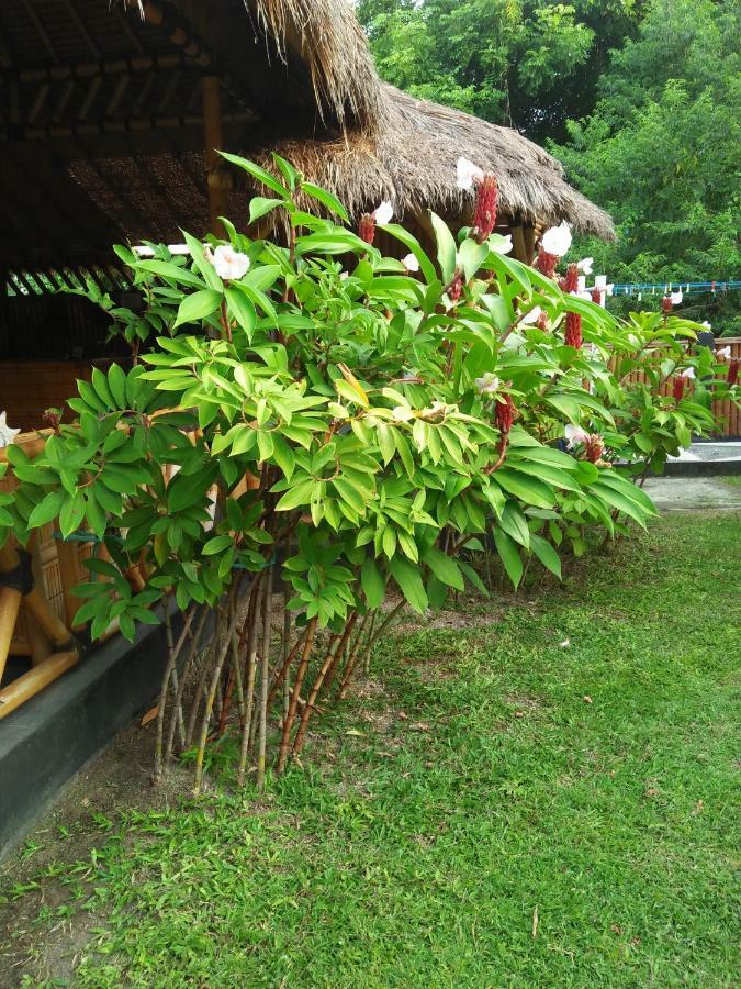 Tua Tua Keladi Bungalows Gili Air Zewnętrze zdjęcie